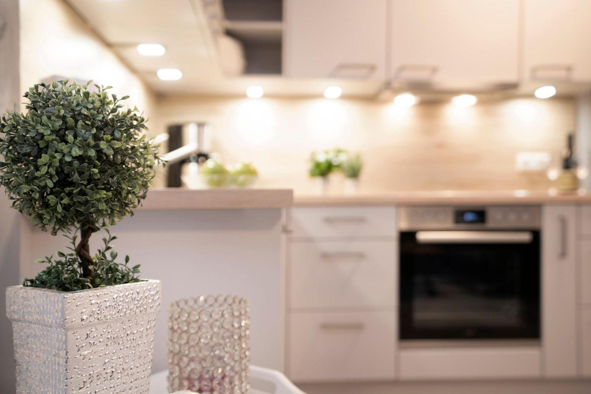 Ankerplatz 16 Apartment นอยชตัดท์ อิน โฮลชไตน์ ภายนอก รูปภาพ